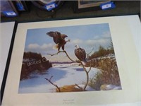 Gromme (Eagles at the Dells 79) 252/850 (unframed)