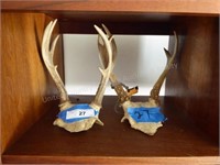 2 sets of antlers