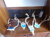 4 sets antlers
