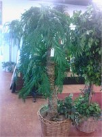 silk palm tree approx. 7 foot