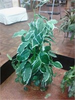 silk plant 3 1|2 feet tall
