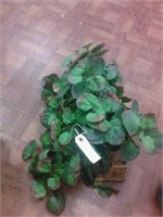 basket with plant leaves
