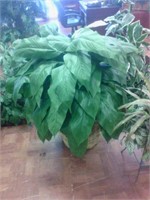 silk plant in basket