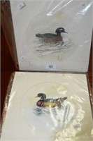 Pair of watercolours of ducks,