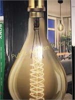 FEIT ELECTRIC BULB AND PENDANT
