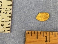 Alaskan gold nugget approximately 2.1 grams, about