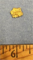 Alaskan gold nugget approximately 2.7 grams, about