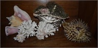 Large Faux Conch Shell With Fish Net, Star Fish &