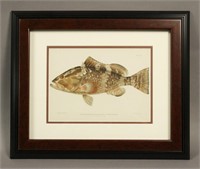 Julius Bien Red Grouper Framed & Matted Fish Print