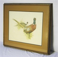 2 Pheasants Framed Wildlife Art Print