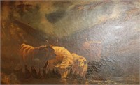 D. Thompson, highland cattle glen landscape,