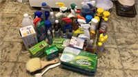 Lots of assorted household cleaning supplies