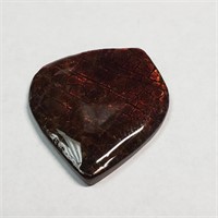$300   Canadian Ammolite