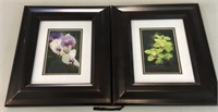Two framed prints
