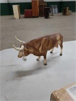 Bull long horned