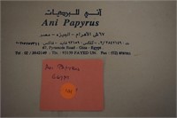 Egyptian Ani Papyrus