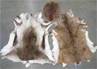 Wolf and Deerskin Rugs with Beaver Pelt