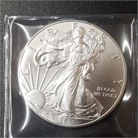 2013 Silver American Eagle