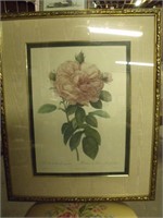 Large Decorative Rose Print
