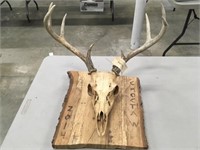 8-point European Mount