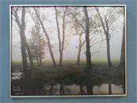 Reflections of Nature Canvas Print By Danny Head