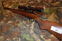 50Th Anniversary 22 With Bushnell Scope