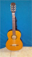 Angelina Acoustic Guitar
