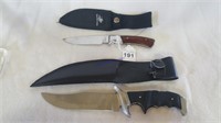 Master Straight Back & Tailing Point Knives