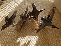 Green Wing Teals Full Body Taxidermy Mounts