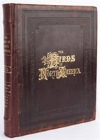 Studer, Birds of North America, 1st Ed., 1888