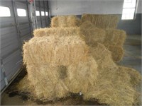 Hay / Straw Bales