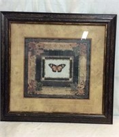 Large Framed Butterfly Print K15