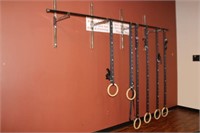 RING RACK WITH 6 PULL UP RINGS