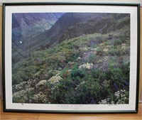 Frames Print "Garden of Light" by Bruce Jackson