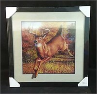 New 5D buck picture 17x17"