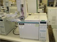 Gas Chromatograph System