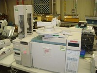 Gas Chromatograph System