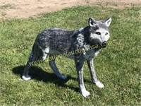 Life Size Standing Grey Wolf.