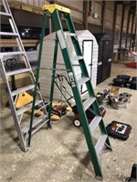 Davidson 7’ fiberglass step ladder