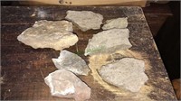 Seven pieces of fossils from Hogue Creek in