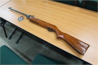 Pellet Rifle