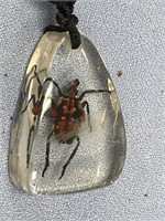 Beetle encased in acrylic necklace   (g 22)