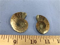 Pair of small ammonite fossils    (g 22)
