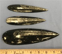 Lot of 3 large orthocerus fossils, largest is 8 1/