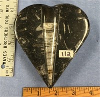 Heart shaped orthoceras box