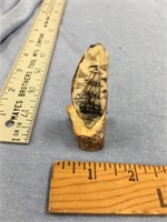 3" Tall fossilized walrus tooth scrimmed with sail
