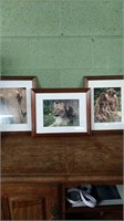 Framed Animal Pictures