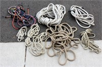 Lot of Ropes and Bungee Cords