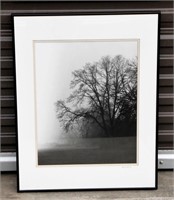 Framed Photo of Trees & Fog Signed Lapin