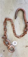 Approximately 42" chain with swivel and large